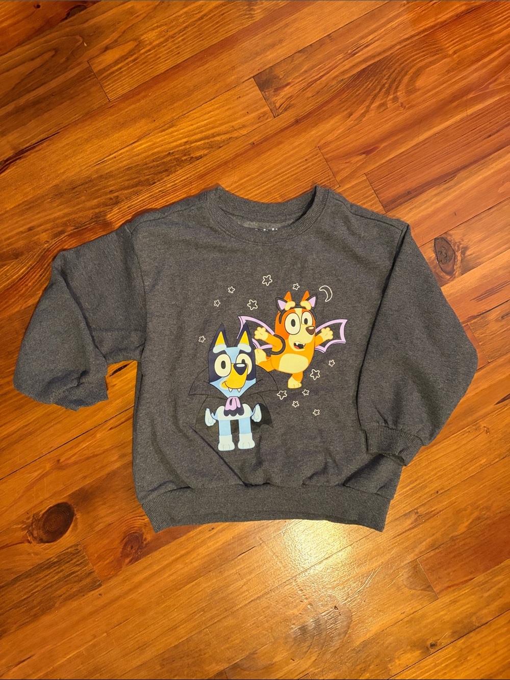 EUC Grey Bluey Halloween Sweatshirt